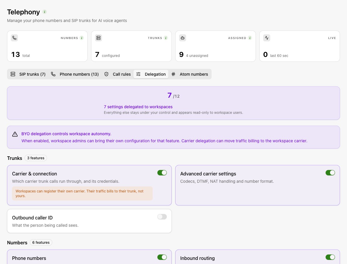 The Delegation tab controls which telephony settings workspaces can manage. Review the availability and dependency notices for each control.